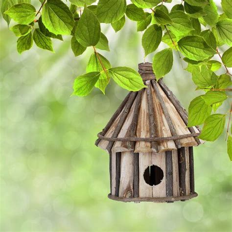 Crescio Hanging Bird House Alpen Home Vogelhaus Ideen Dekorative