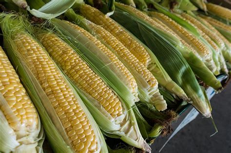 Popular Eastern Iowa Sweet Corn Farm Stops Sales