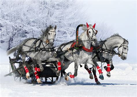 Day 6 of White Xmas and the Northern lights: Catherine's Palace & Troika