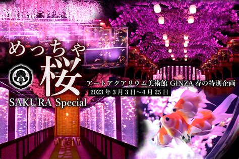 「めっちゃ桜 ～sakura Special～」本日より開催！アートアクアリウム美術館 Ginza 春の特別企画“金魚の日”3月3日から4月