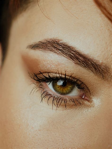 4 Of The Best Brow Treatments Explained