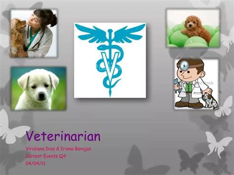 Ppt Veterinarian Powerpoint Presentation Free Download Id2526366