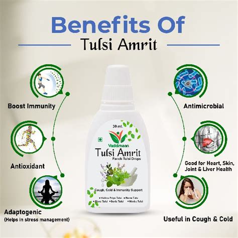 Vaddmaan Tulsi Amrit X Ml Panch Tulsi Ark Drops At Rs