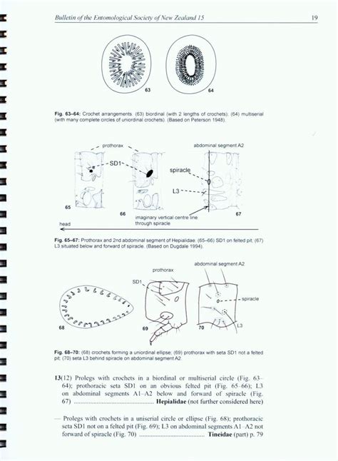 Identification Guide to Lepidoptera Larvae Intercepted on Trade Pathways - 0473221713 ...