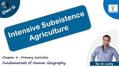 Intensive Subsistence Agriculture Class 12 Geography YouTube