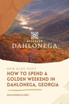 63 Festivals & Events ideas | dahlonega, festival, downtown dahlonega