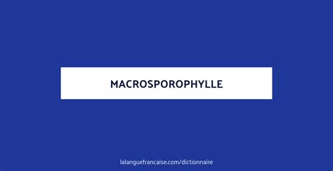 Définition de macrosporophylle Dictionnaire français