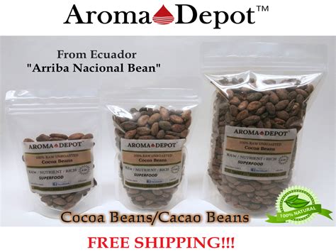 Raw Cacao Cocoa Beans Raw Chocolate Arriba Nacional Bean 1 Etsy