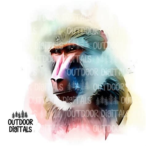 Baboon Png Watercolor Baboon Clipart Baboon Wall Art Baboon Nursery