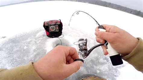 Live Bait Vs Artificial Lure Ice Fishing Challenge Youtube