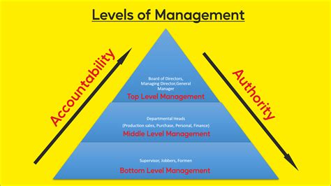 Different Levels Of Management Top Middle And Lower