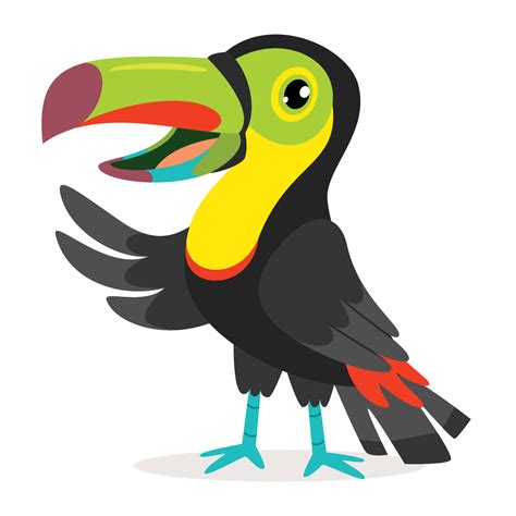 Cartoon Drawing Of A Toucan 13536931 Vector Art At Vecteezy