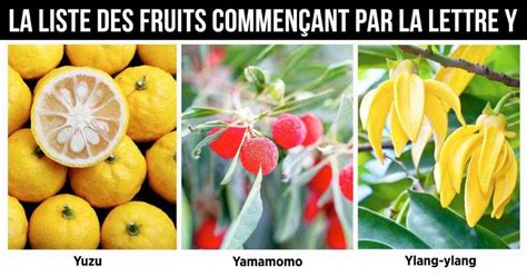 Fruit en Y la liste des fruits commençant par la lettre Y