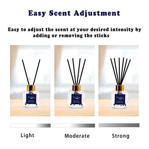 Seed Spring Reed Diffuser Set Purple Opium Collection Aromatherapy