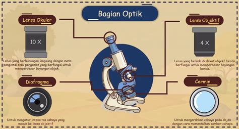 Bagian Bagian Mikroskop Dan Fungsinya Lengkap Dengan Gambar