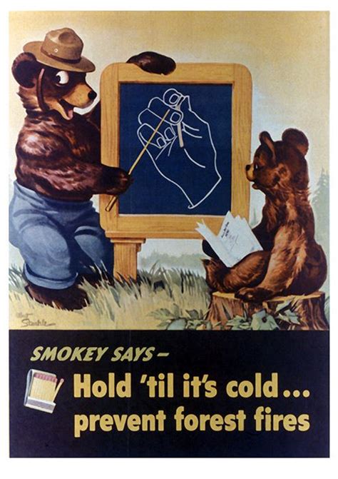 Smokey The Bear Quotes - ShortQuotes.cc