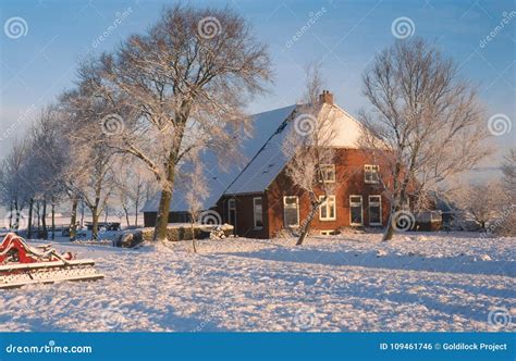 Traditional Dutch Farm In Winter Stock Photo Image Of Season