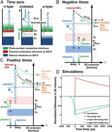 Figure From Visualization Of Carrier Dynamics In P N Type Gaas By