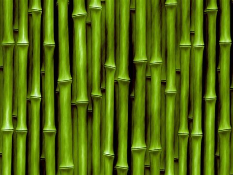 Chinese Bamboo Wallpapers Top Nh Ng H Nh Nh P