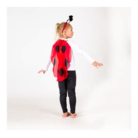 Ladybug Headband And Wings Costume Accessories Toys Craniums Books