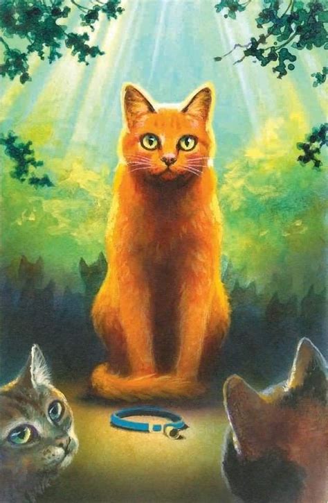 Firestar Warriors Wiki Fandom Powered By Wikia