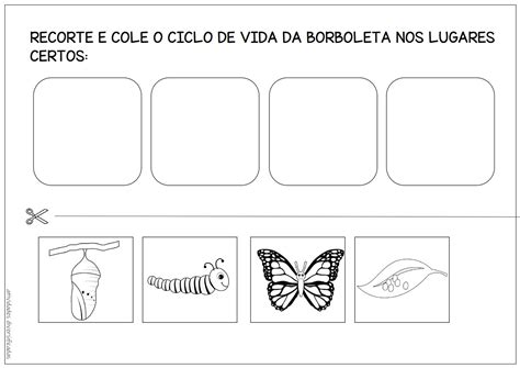 Plano De Aula Ciclo De Vida Da Borboleta Atividades Ciclo De Vida Da