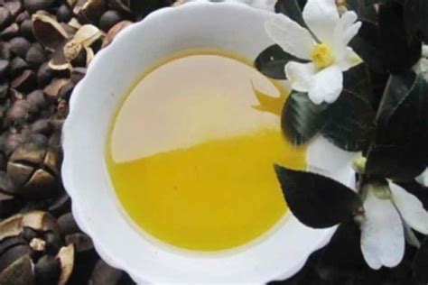 Camellia Oil Uses And Benefits Camellia Oil For Skin Care