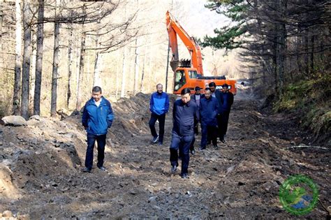 副局长张小平到党川林场督导检查工作 天保工程 甘肃省小陇山林业保护中心官方网站