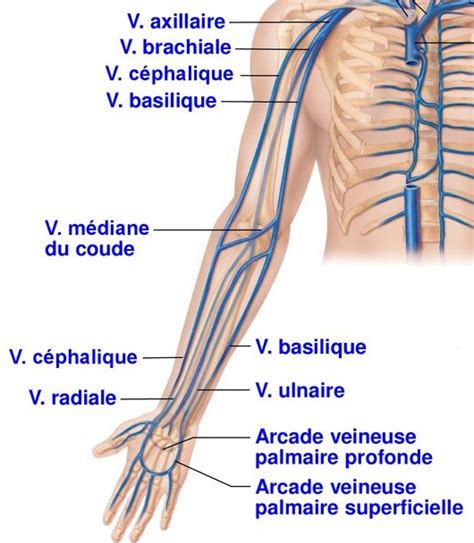 Cours Us Gestes Techniques Recherche De Tvp