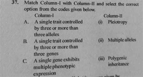 Match Column I With Column Ii And Select The Correct Option From The