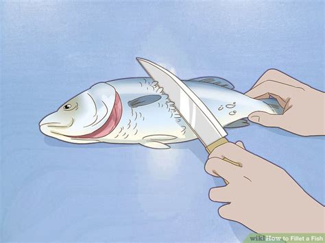 How To Fillet A Fish 13 Steps With Pictures Wikihow