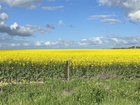 Rick Wilson - My family walked the trail, then took advantage of the