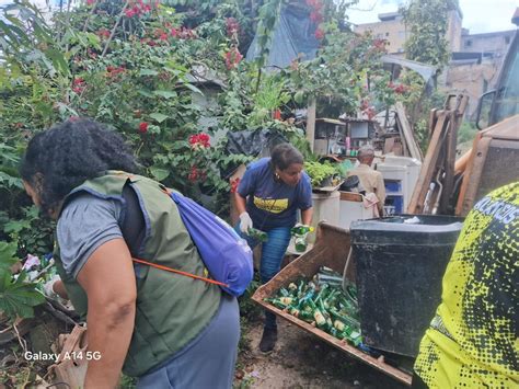 SAÚDE MUTIRÃO DE COMBATE À DENGUE RECOLHE 20 TONELADAS DE INSERVÍVEIS