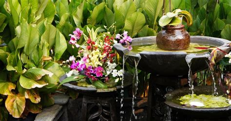 5 Tips To Create Feng Shui In Your Garden Goodnet