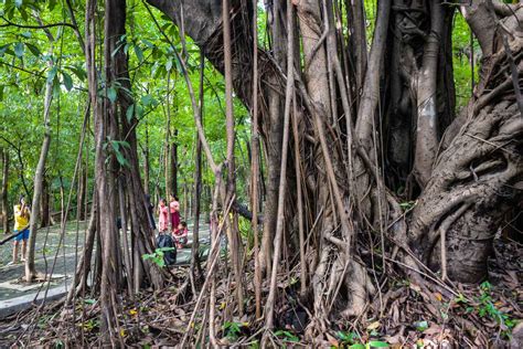 IN PHOTOS: An afternoon stroll inside Arroceros Forest Park