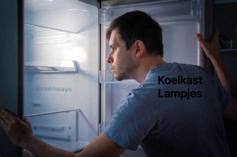 Koelkastlampje Watt E Koelkast Lamp Helder W Fridge