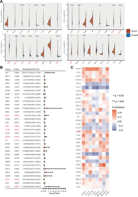 Frontiers Ferroptosis Regulator Slc A Is A Prognostic Marker And