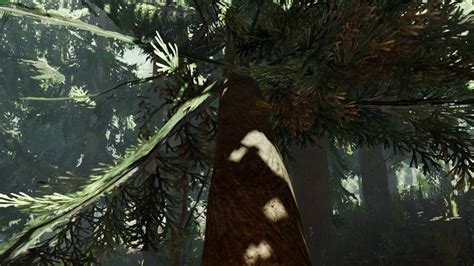 The Forest VR Damn Naked Cannibals YouTube