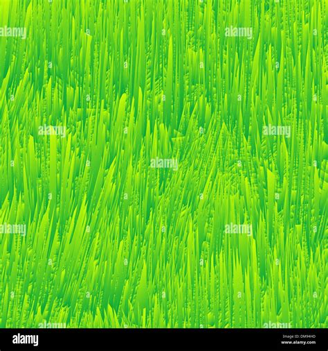 Grass Texture Hi Res Stock Photography And Images Alamy