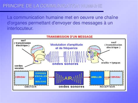 Ppt La Transmission De Donnees Powerpoint Presentation Free Download