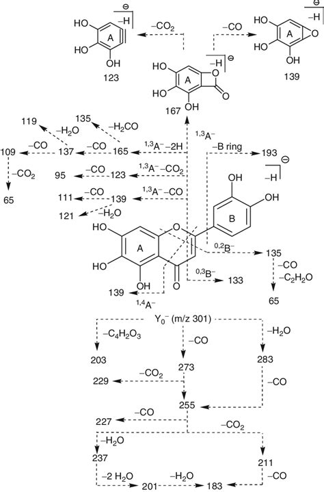 Scheme Cid Ms Ms And Proposed Fragmentation Routes Of The