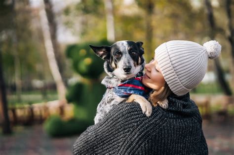 Une Fille Tient Un Chien Bâtard Dans Ses Bras Prendre Soin Des Animaux