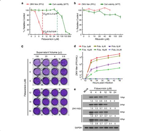 Fidaxomicin Blocks Zikv Infection In Vitro A Antiviral And