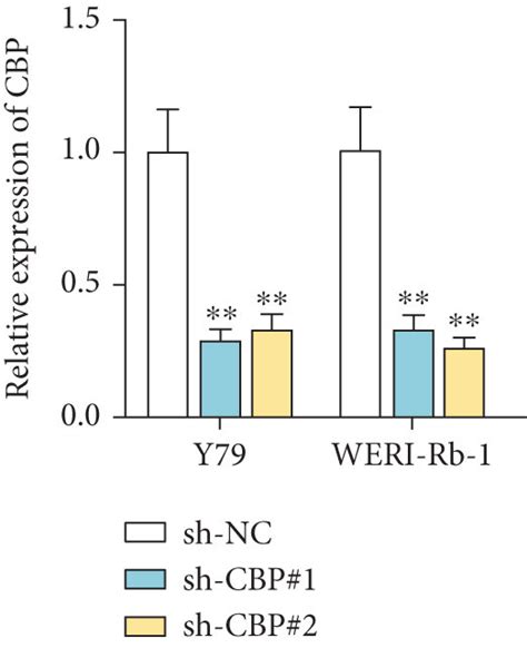 H K Ac Activated The Expression Of Circ In Rb Cells A