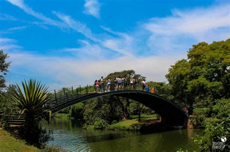 Parque Ibirapuera SP top 8 atrações bônus e dicas