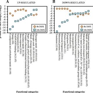 Relevant Functional Categories Of The Genes Whose Expression Was