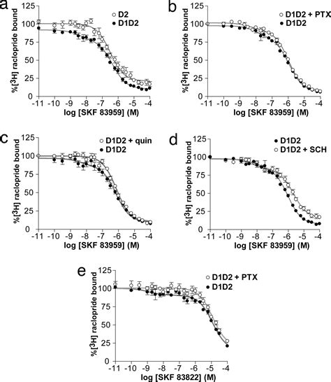 D1 D2 Dopamine Receptor Heterooligomers With Unique Pharmacology Are Coupled To Rapid Activation