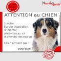 Berger Australien Bleu Merle Tête Panneau Attention au Chien