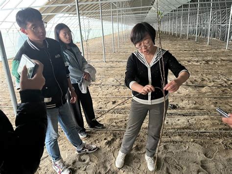 我校专家赴和田地区指导培训果园生产管理技术 塔里木大学