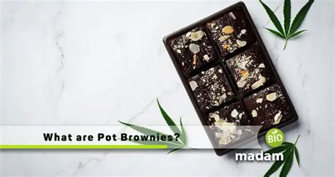 What are Pot Brownies? - biomadam